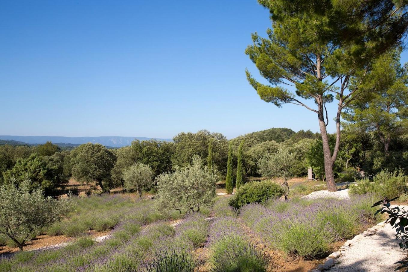 La Cle Des Champs, Boutique Hotel & Spa - Le Mas De Garrigon Roussillon  Ngoại thất bức ảnh